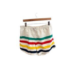 Chubbies USA Swim Trunks Shorts Men’s Large L Rainbow Stripe Retro Board Shorts